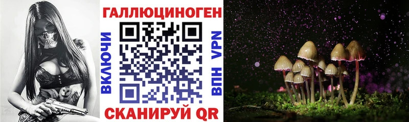 Псилоцибиновые грибы Cubensis  цена наркотик  Ахтубинск 